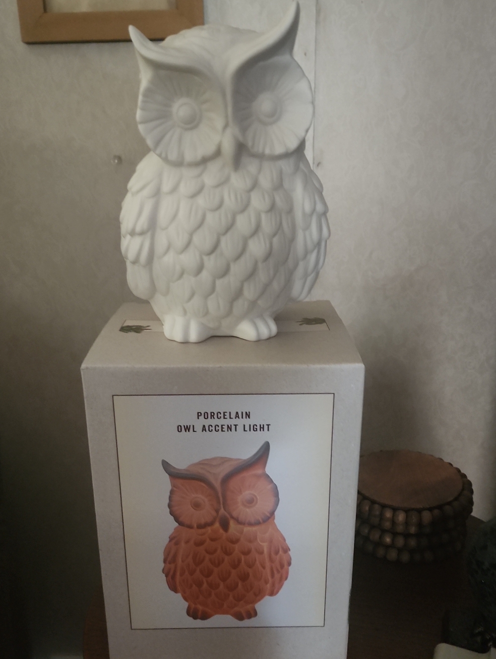 Porcelain Owl Accent Light - Matte White